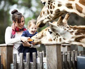 Taronga Western Plains Zoo, Dubbo - Hotel WA 0