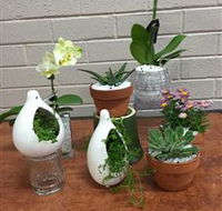 Cobram Florist - Hotel WA