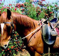 Western Plains Riding Centre - Hotel WA