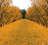 Sun Country on the Murray Farm Gate Trail - Hotel WA
