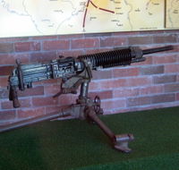 Woodpecker Gun - Hotel WA