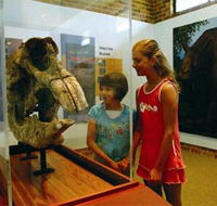 Australian Museum Diprotodon Exhibition - Hotel WA