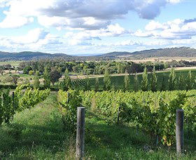 Sassy Wines - Hotel WA 0