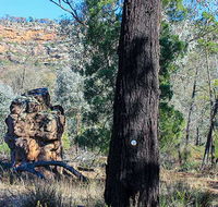 Eualdrie walking track - Hotel WA