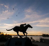 Black Caviar Statue - Hotel WA