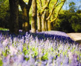 Duneira, Mt Macedon - Hotel WA 4