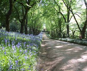 Duneira, Mt Macedon - Hotel WA 3