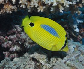 Clam Gardens Dive Site - Hotel WA 1