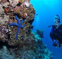 Lighthouse Bommie Dive Site - Hotel WA