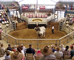 Gracemere Exhibition Complex - Hotel WA 1