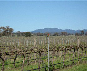 Monument Vineyard - Hotel WA 1