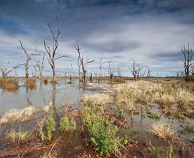 Winton Wetlands Reserve - Hotel WA 4