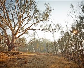 Winton Wetlands Reserve - Hotel WA 2