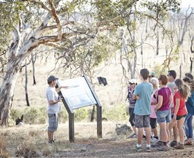 Winton Wetlands Reserve - Hotel WA 5