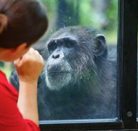 The Rockhampton Zoo - Hotel WA