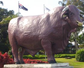 Rockhampton Bull Statues - Hotel WA 0