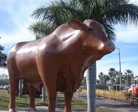 Rockhampton Bull Statues - Hotel WA 3