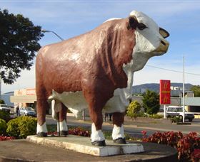 Rockhampton Bull Statues - Hotel WA 2