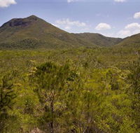 Kutini-Payamu Iron Range National Park CYPAL - Hotel WA