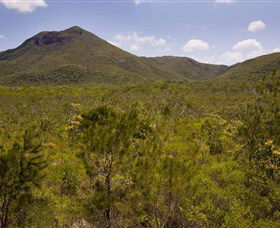 Kutini-Payamu (Iron Range) National Park (CYPAL) - Hotel WA 0
