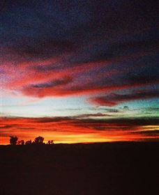 Springview Eco-Farm - Hotel WA 0