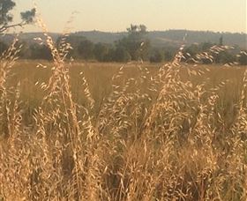 Springview Eco-Farm - Hotel WA 3