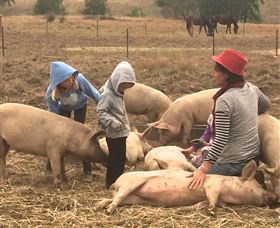 Springview Eco-Farm - Hotel WA 2