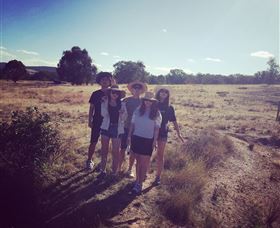 Springview Eco-Farm - Hotel WA 5