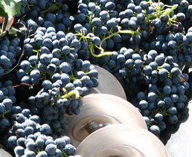 Orange Mountain Wines - Hotel WA 2