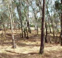 Chiltern-Mt Pilot National Park - Hotel WA
