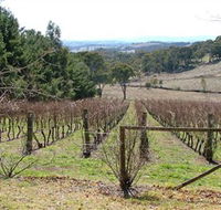 Habitat Vineyard - Hotel WA