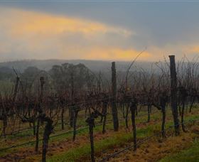 Bloodwood Estate - Hotel WA 1