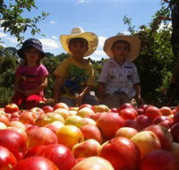 Bonny Glen Fruits