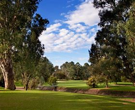 Commercial Golf Course - Hotel WA 0