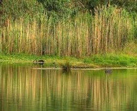 Wonga Wetlands - Hotel WA 2