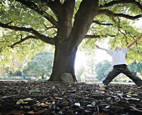 Albury Botanic Gardens - Hotel WA 1