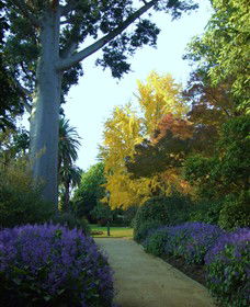 Albury Botanic Gardens - Hotel WA 4