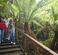 Otway Fly Treetop Adventures - Hotel WA
