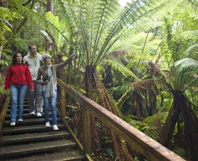 Otway Fly Treetop Adventures - Hotel WA 0