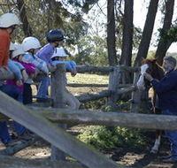 Harlow Park Horse Riding - Hotel WA