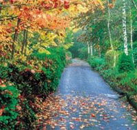 Mount Wilson and Mount Irvine - Hotel WA