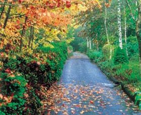 Mount Wilson And Mount Irvine - Hotel WA 0