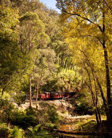 Walhalla Goldfields Railway - Hotel WA 3