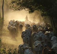 Springvale Horse Treks - Hotel WA