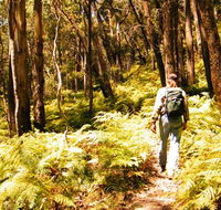 Federal Pass - Hotel WA