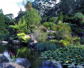 Blue Mountains Botanic Garden - Hotel WA 1