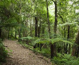 Blue Mountains Botanic Garden - Hotel WA 3