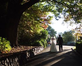 Blue Mountains Botanic Garden - Hotel WA 7