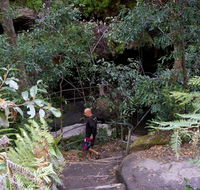 Leura Cascades Fern Bower - Hotel WA