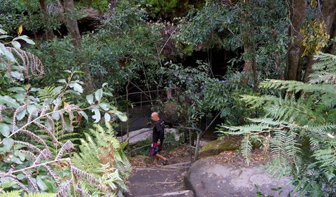 Leura Cascades Fern Bower - Hotel WA 0
